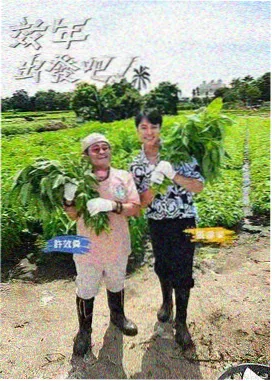 手作人的一天 慢综艺在线观看